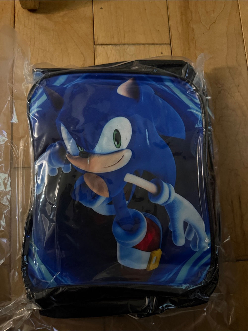 Blue Sonic Character backpack and lunch bag sealed in bag!